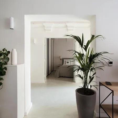 Trabuxu Boutique Living