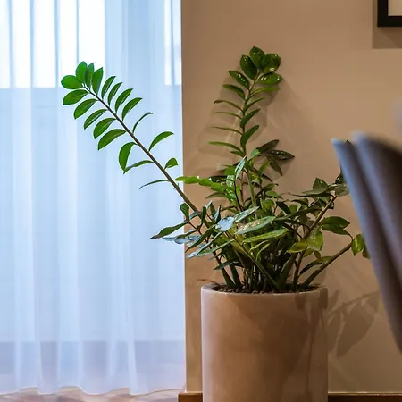 Апартаменты Trabuxu Boutique Living Валетта